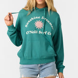 Drift Hoody Pullover Fleece