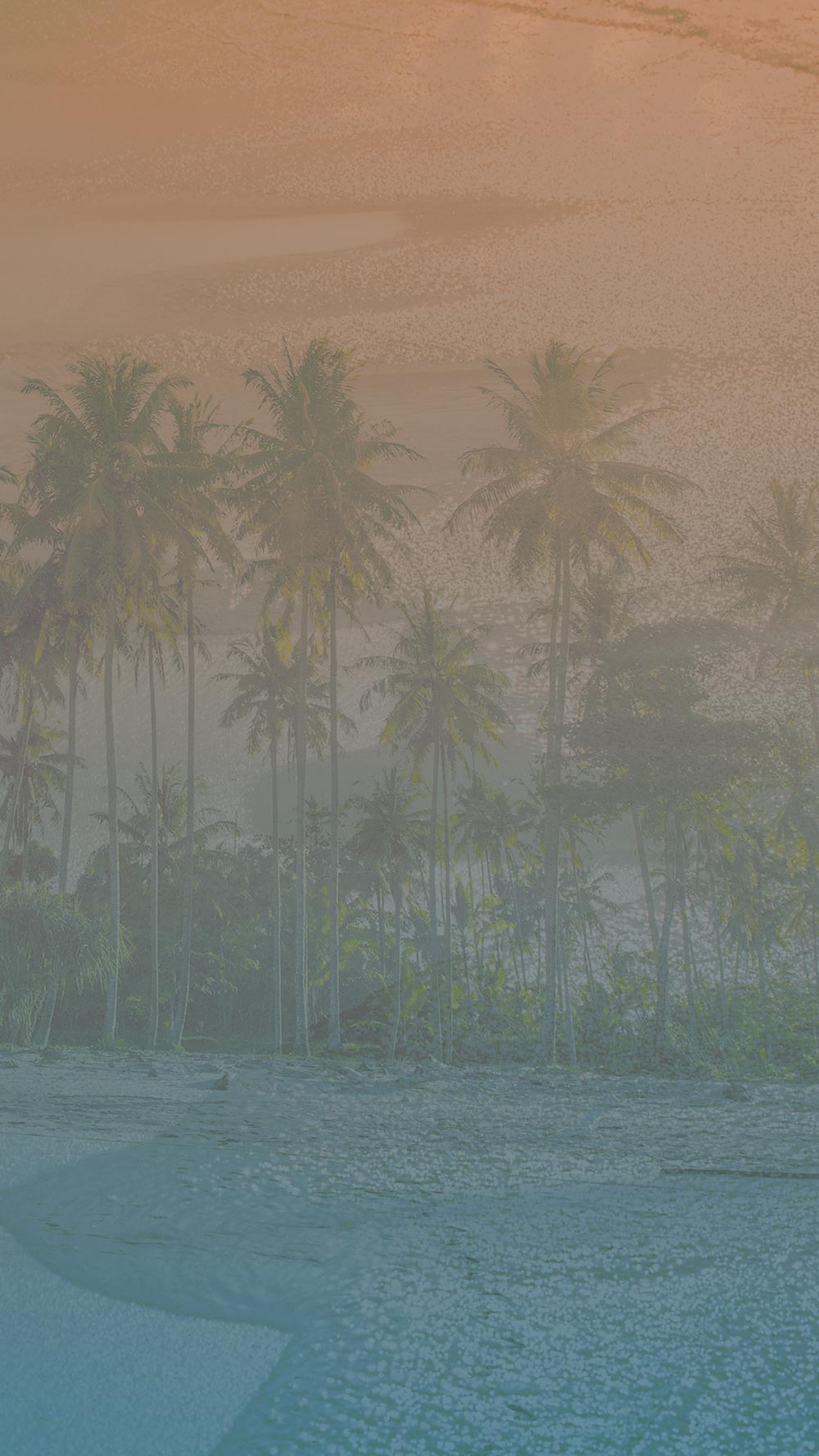 Coconut trees with a gradient sky from orange to blue