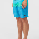 Hyperfreak Divergent 21" Boardshorts