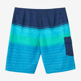 Hyperfreak Divergent 21" Boardshorts