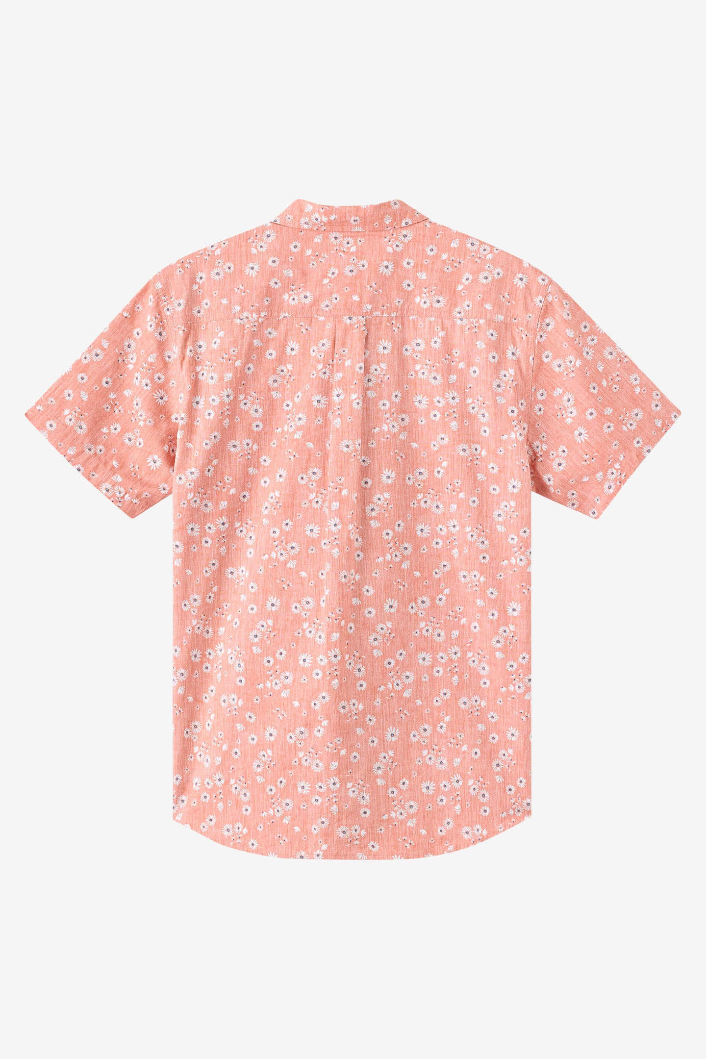Terrace Standard Woven Shirt Standard Fit Shirt - Langoustino | O