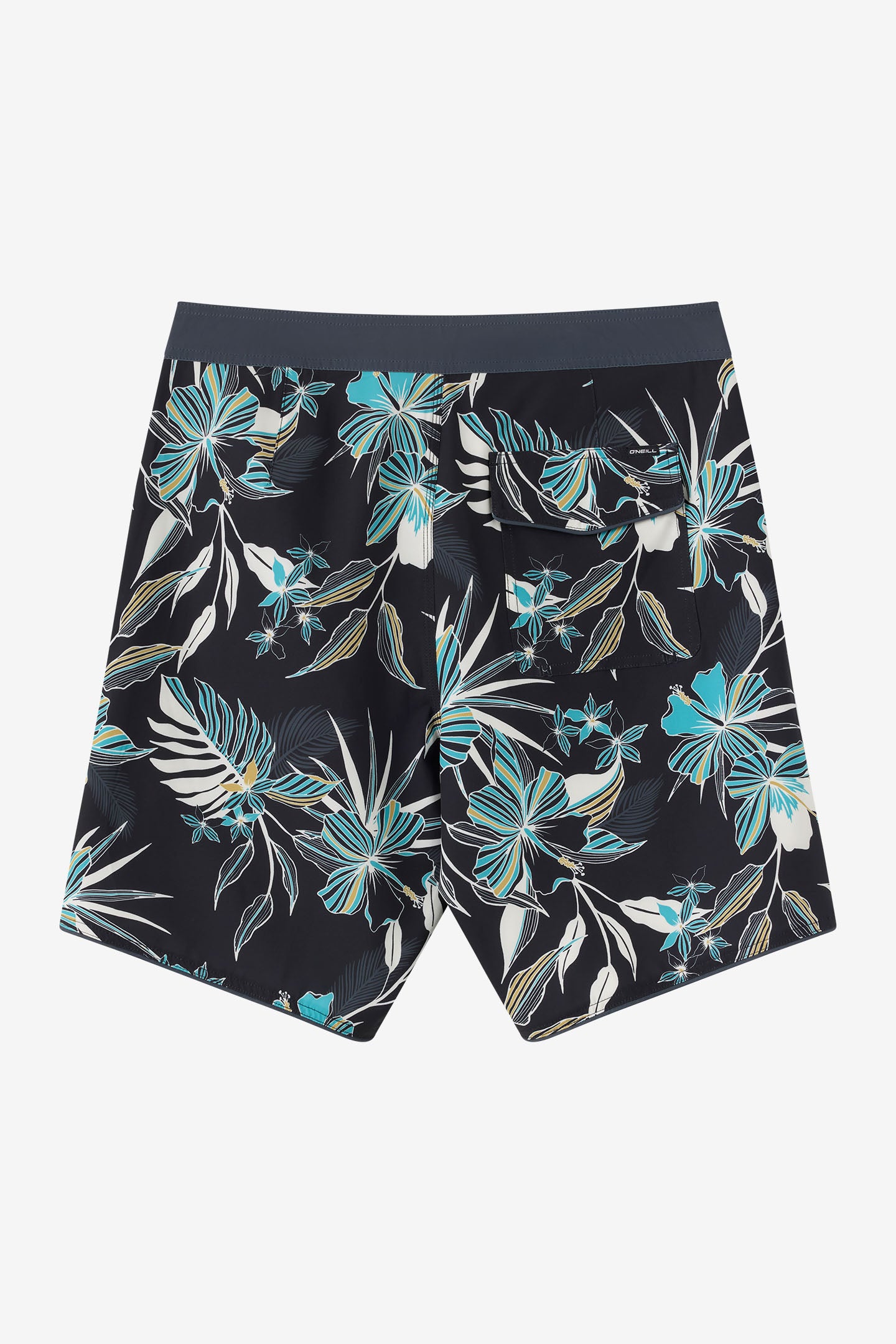 Hyperfreak Mysto Scallop 19