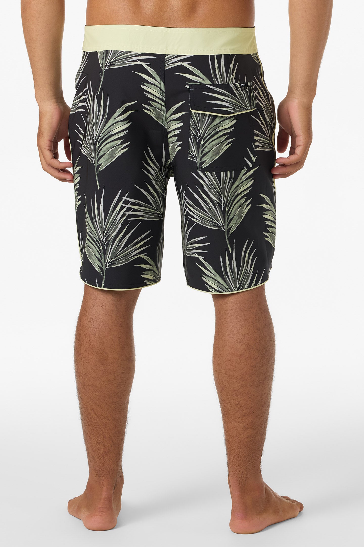 Hyperfreak Mysto Scallop 19