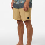 Hyperfreak Heat Block 19" Boardshorts