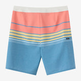 Hyperfreak Heat Stripe 20" Boardshorts