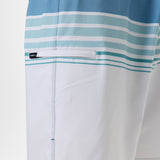 Hyperfreak Heat Stripe 20" Boardshorts
