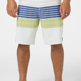 Hyperfreak Heat Stripe 20" Boardshorts