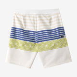 Hyperfreak Heat Stripe 20" Boardshorts