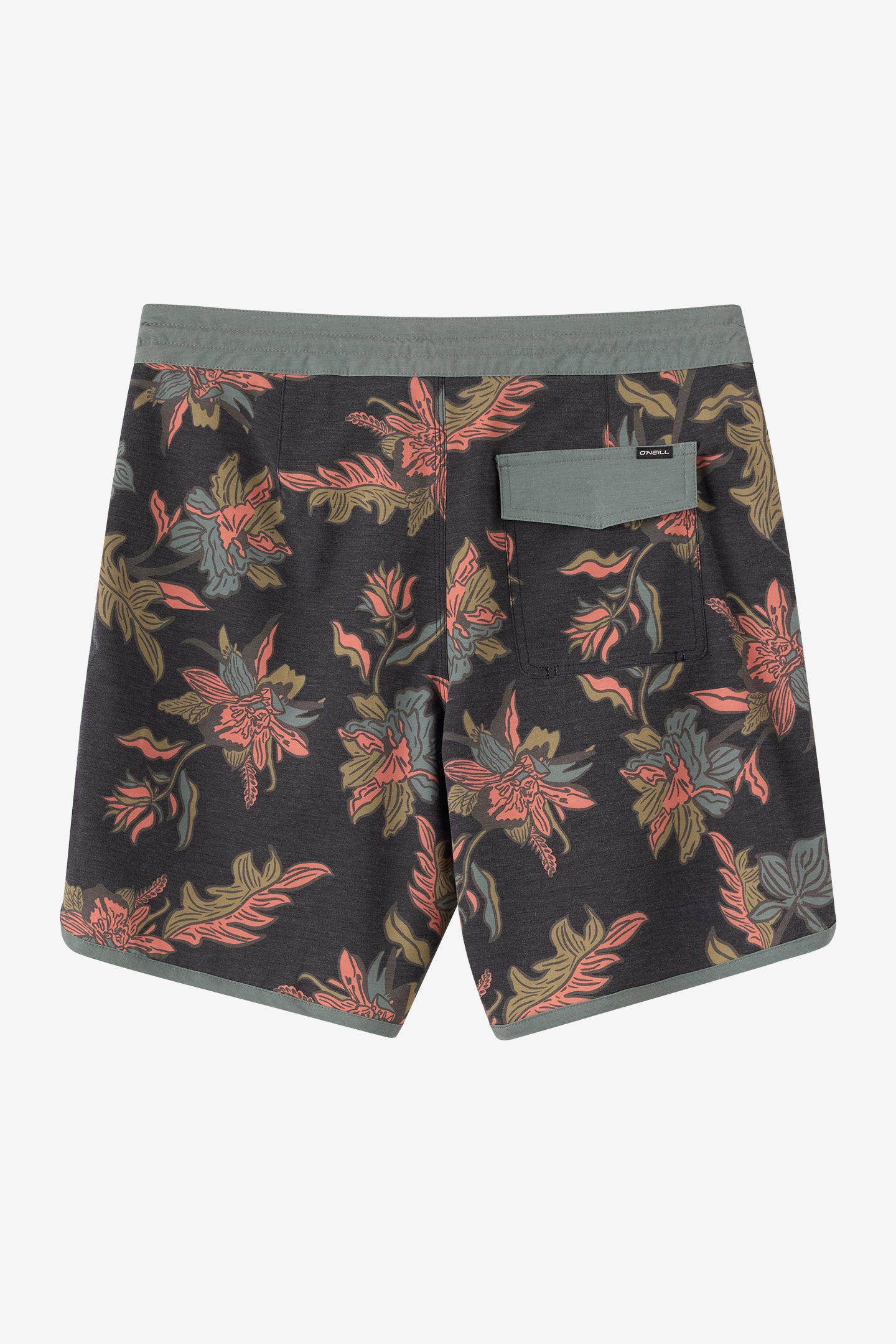 Cruzer Scallop 18