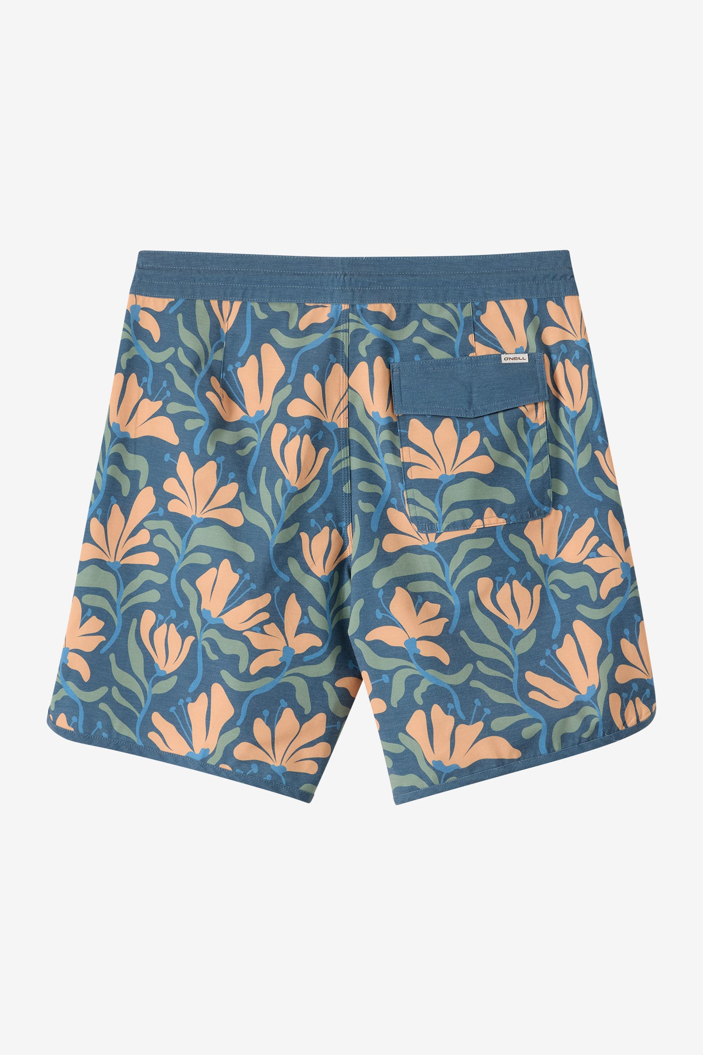 Cruzer Scallop 18