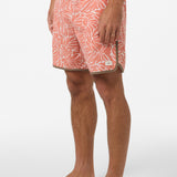 Cruzer Scallop 18" Boardshorts