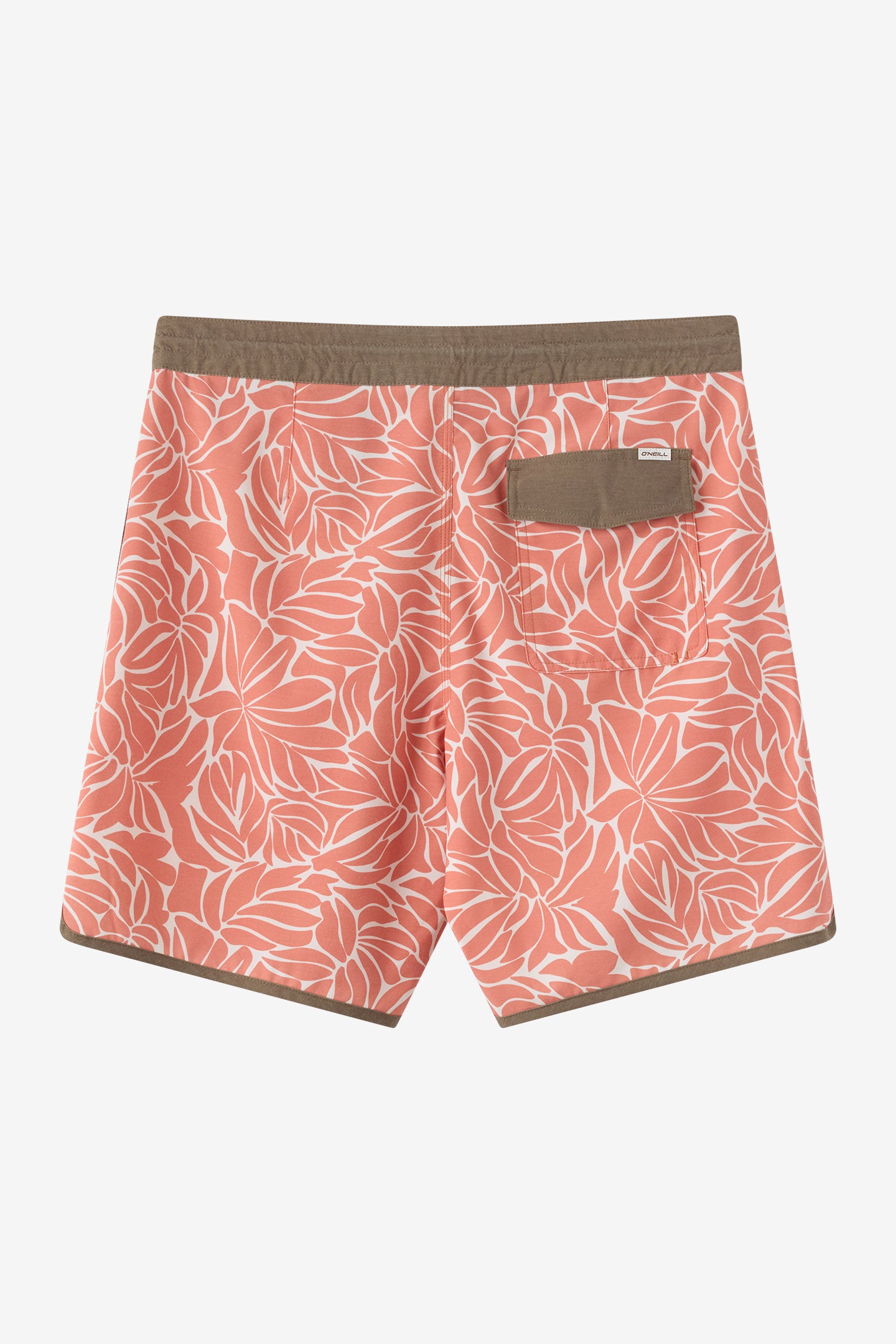 Cruzer Scallop 18