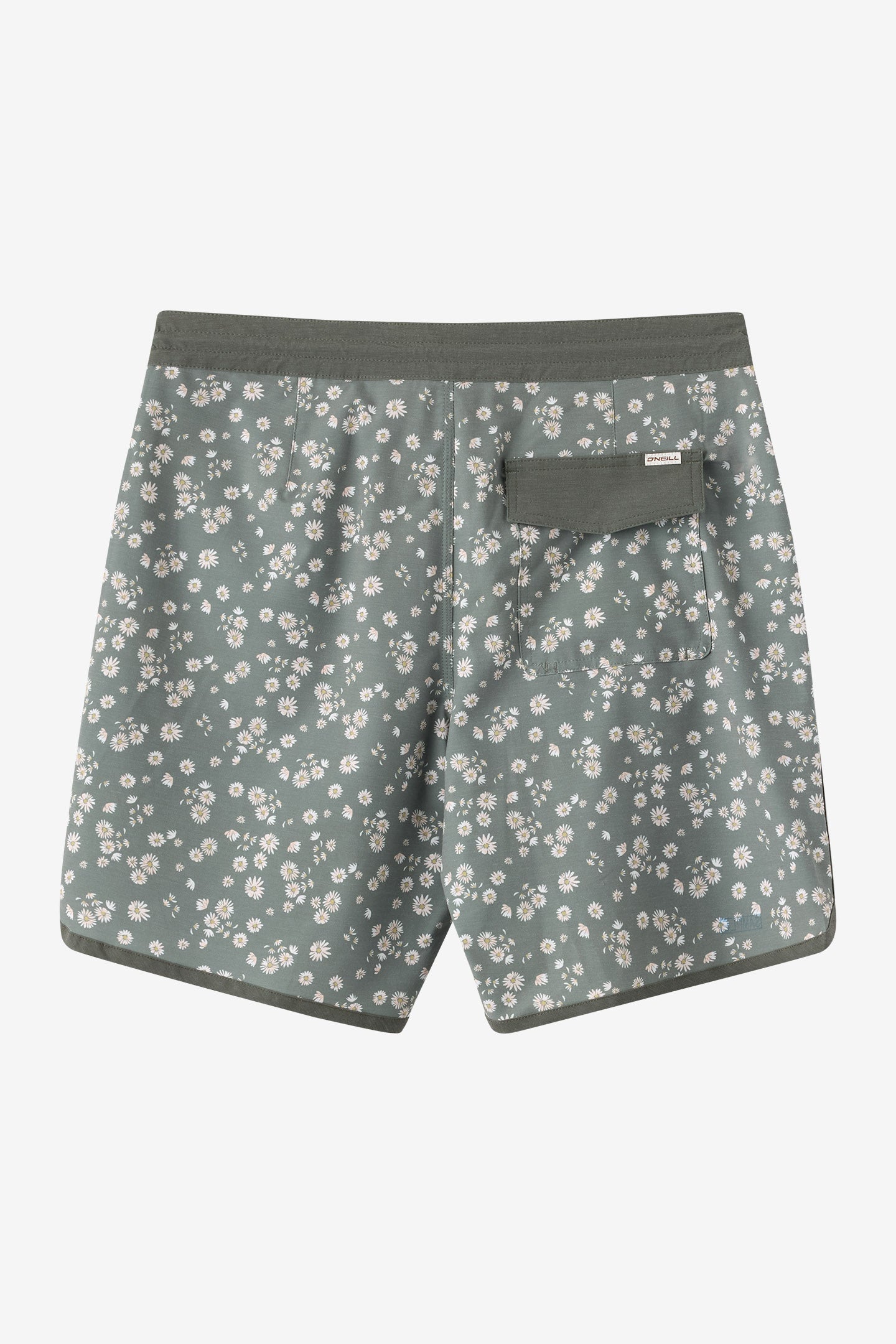 Cruzer Scallop 18
