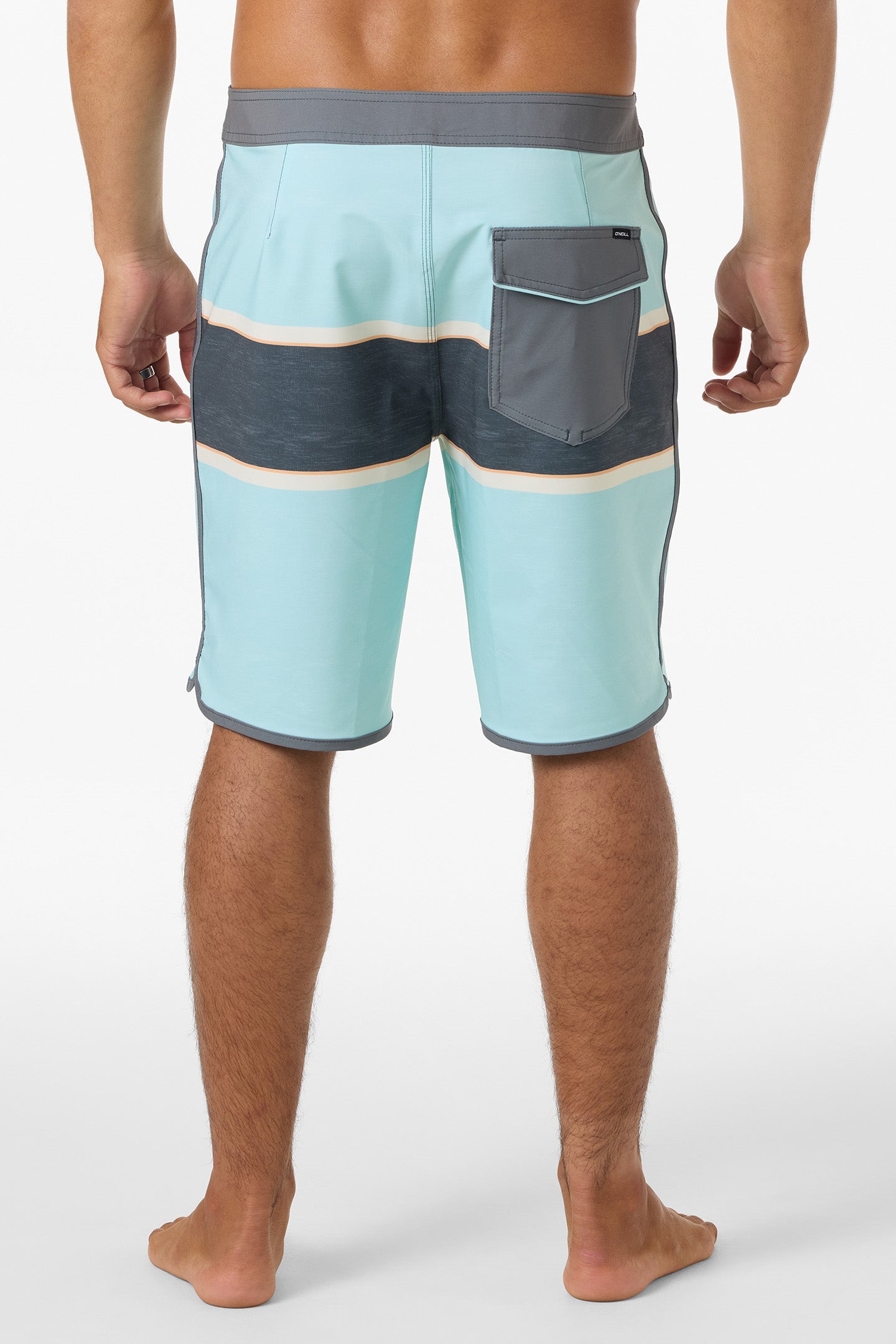 Lennox Scallop 19