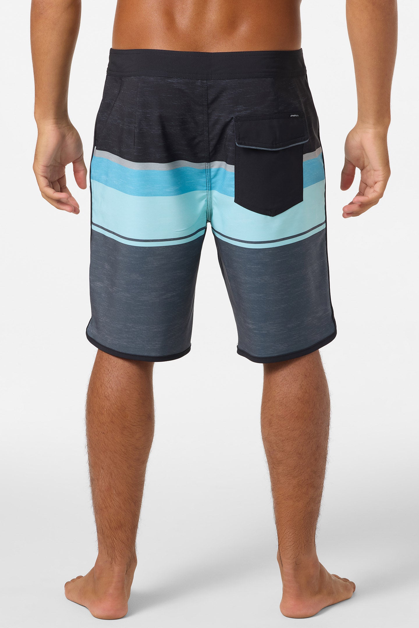 Lennox Scallop 19