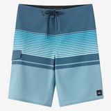 Lennox Stripe 21" Boardshorts