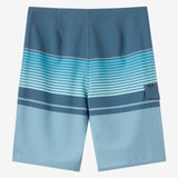 Lennox Stripe 21" Boardshorts
