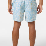 Hermosa Retro 17" Elastic Waist Swim Trunks