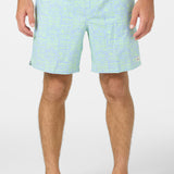 Hermosa Elastic Waist Lined 17" Swim Trunks