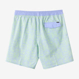 Hermosa Elastic Waist Lined 17" Swim Trunks