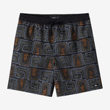 Hermosa Elastic Waist Lined 17" Swim Trunks - Black | O'Neill