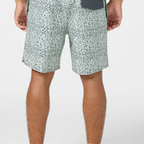 Hermosa Elastic Waist Lined 17" Swim Trunks