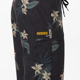 Hyperfreak Heat Hawaii 20" Boardshorts