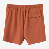 Lennox Hermosa Solid Volley 17" Swim Trunks