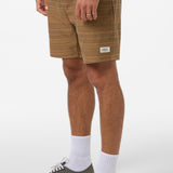 Bavaro Stripe 19" Shorts