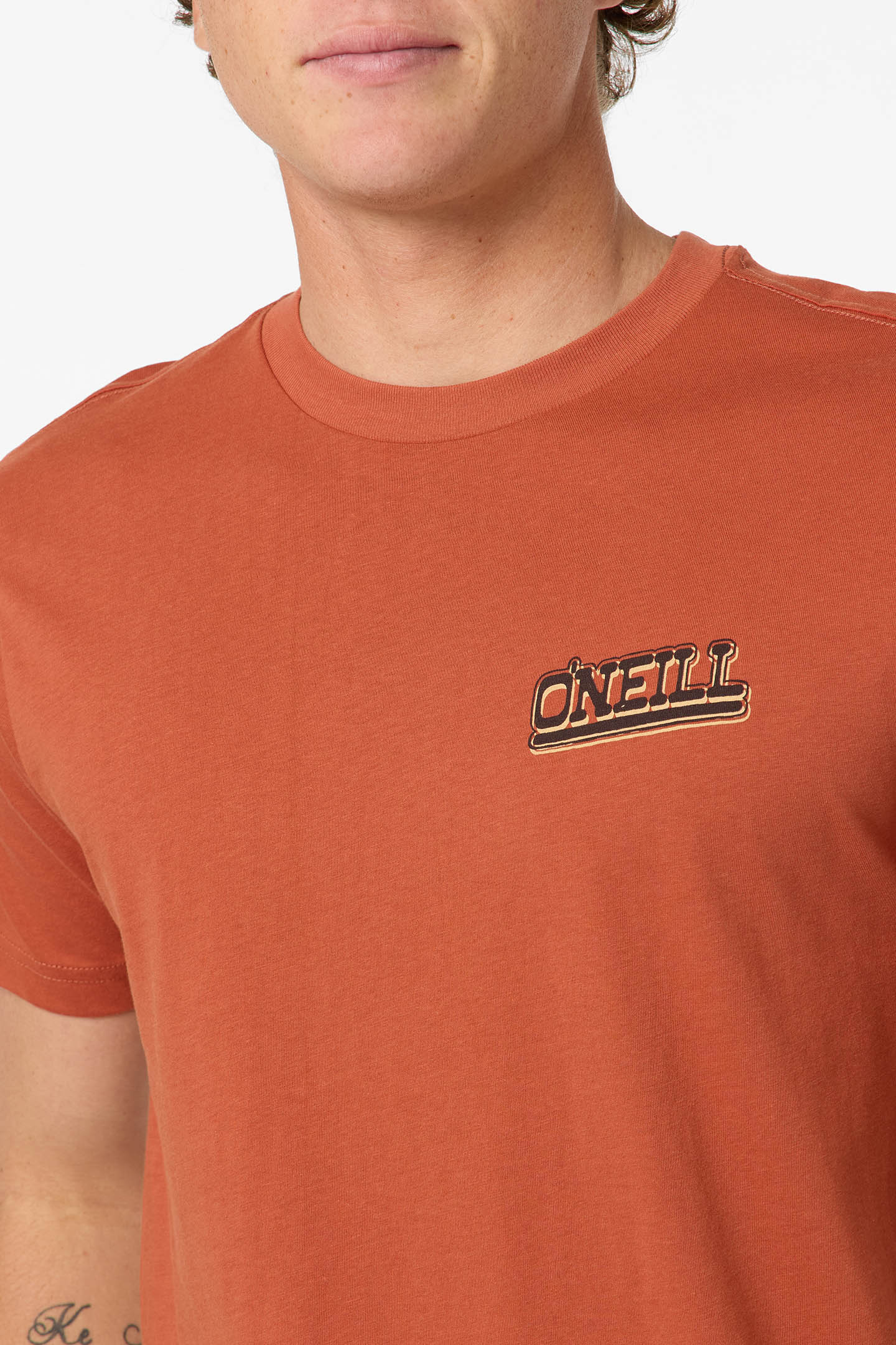 Cactus Classic Tee Standard Fit Tee - Chutney | O'Neill