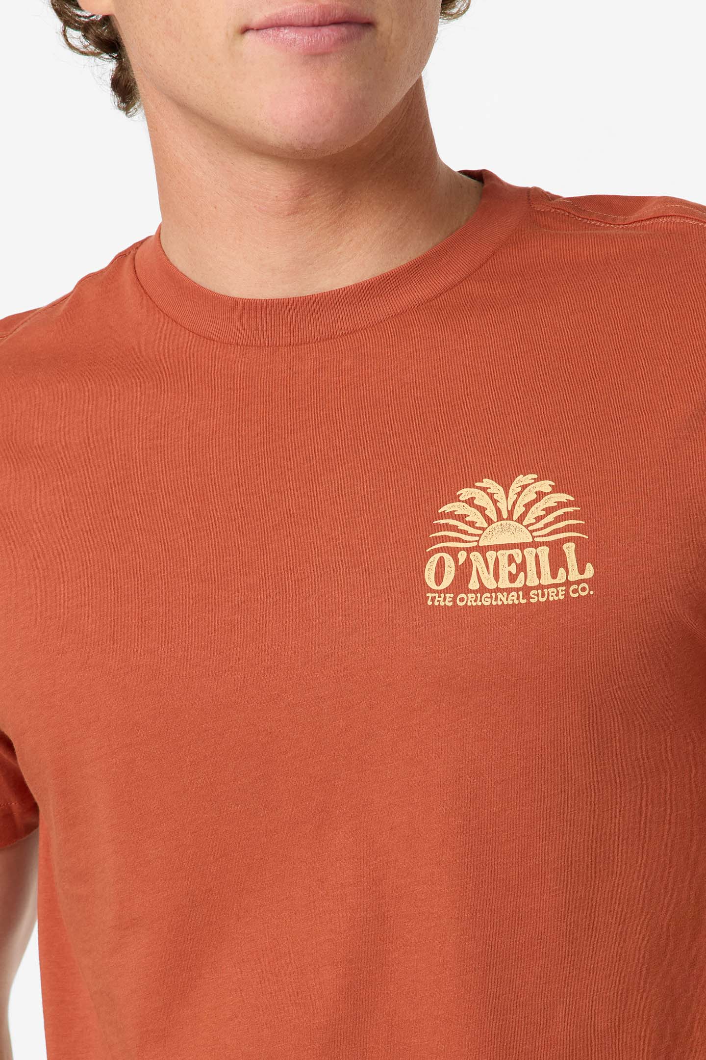 Burst Classic Tee Standard Fit Tee - Chutney | O'Neill