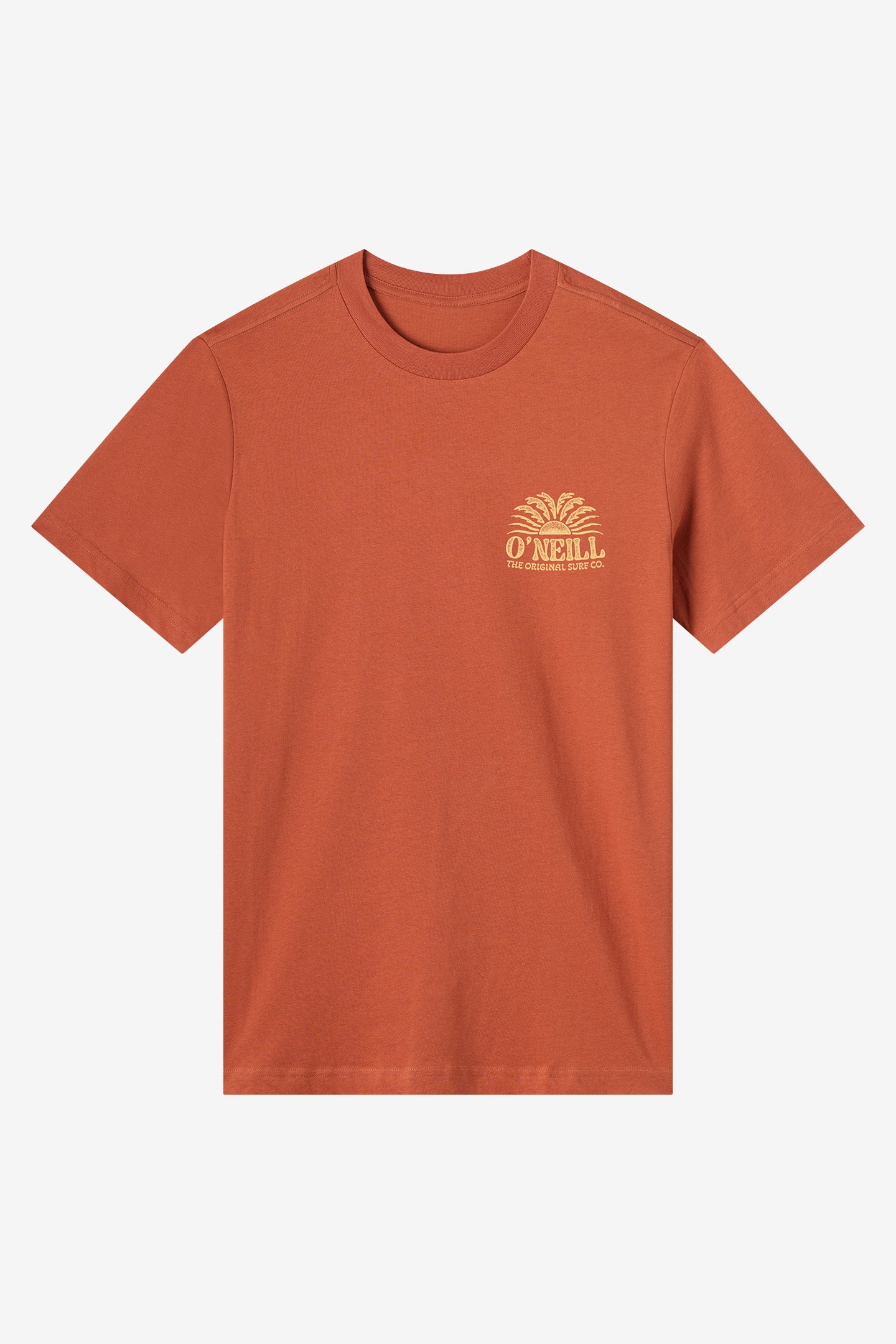 Burst Classic Tee Standard Fit Tee - Chutney | O'Neill