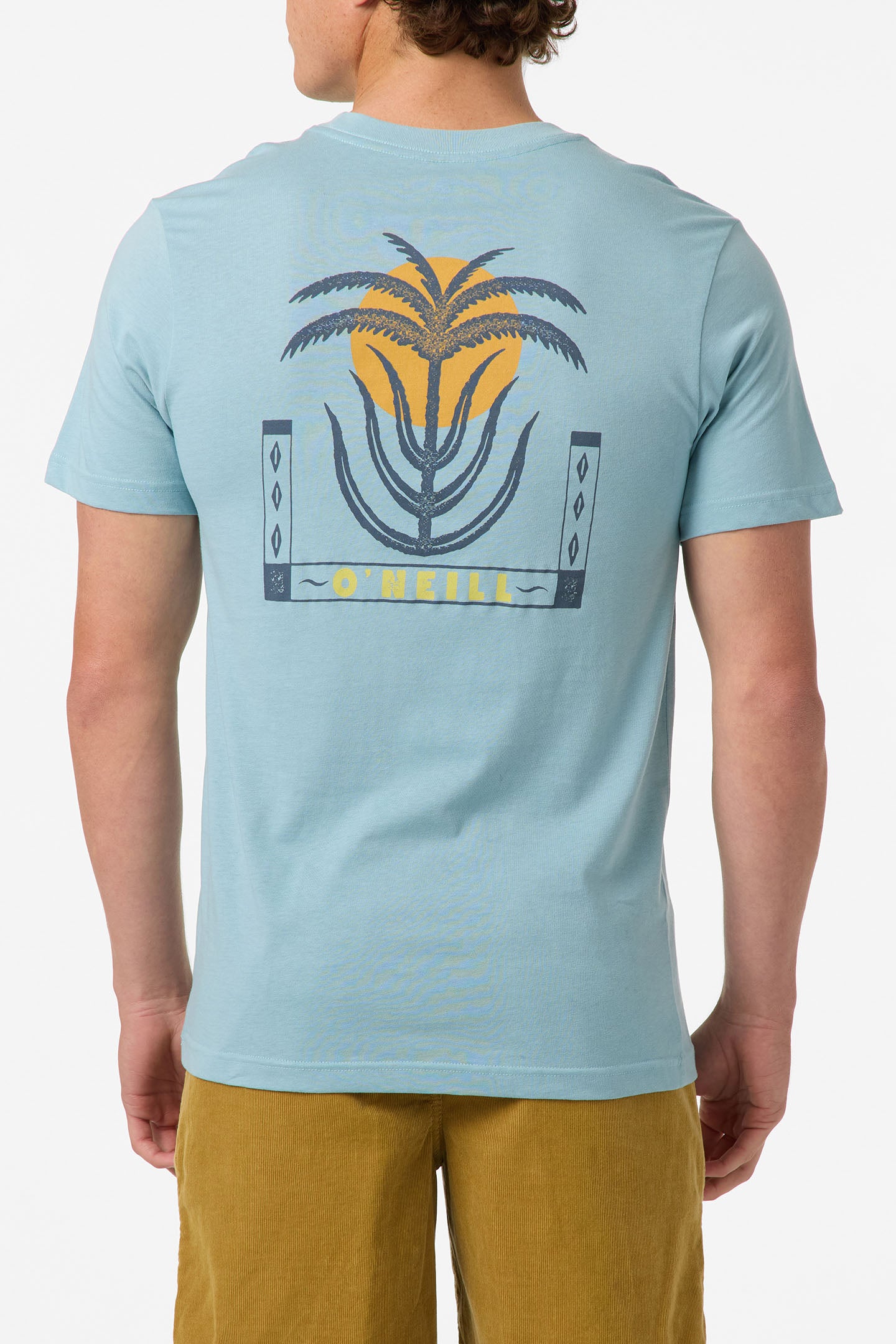Palm Throne Classic Tee Standard Fit Tee - Stone Blue | O'Neill