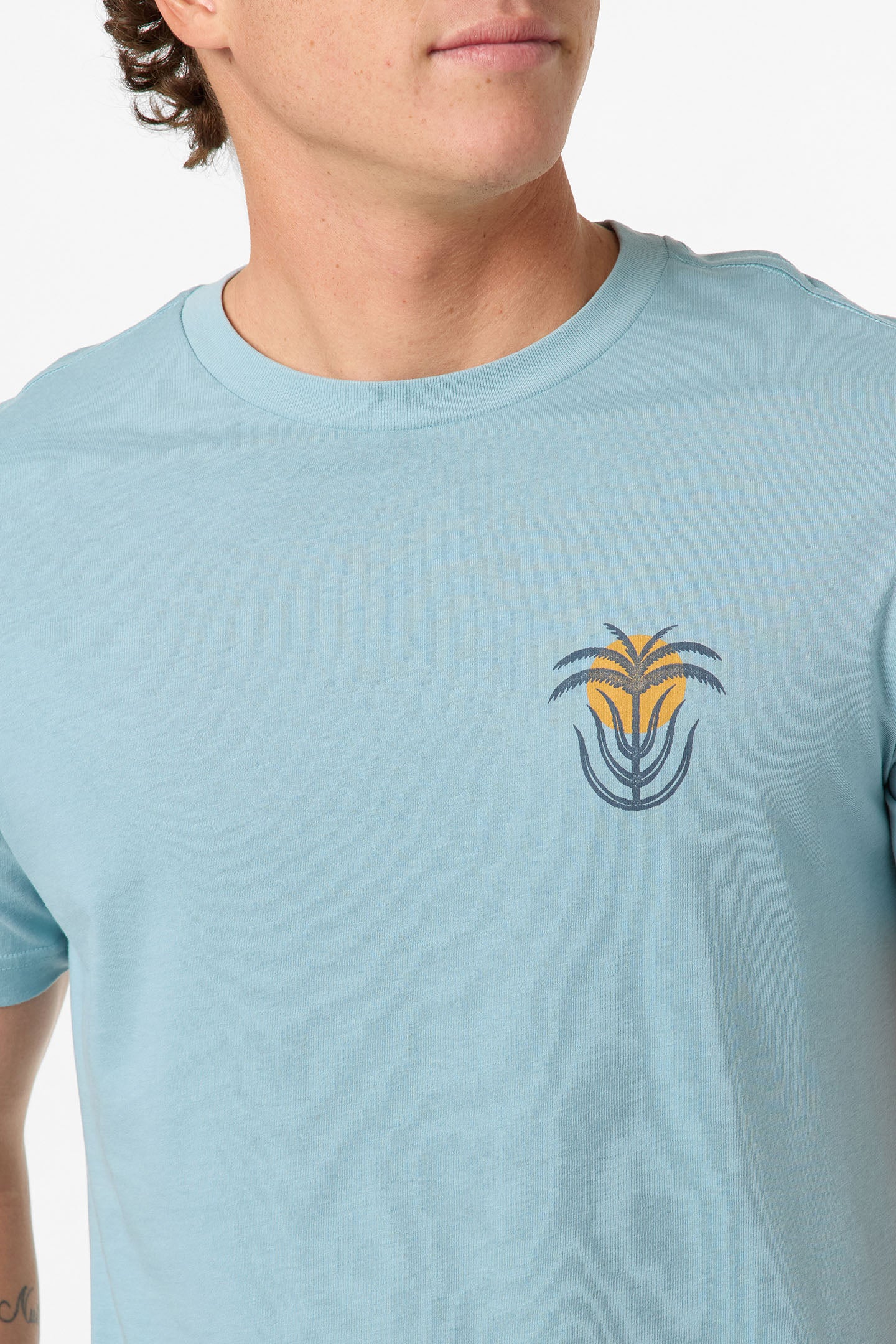 Palm Throne Classic Tee Standard Fit Tee - Stone Blue | O'Neill