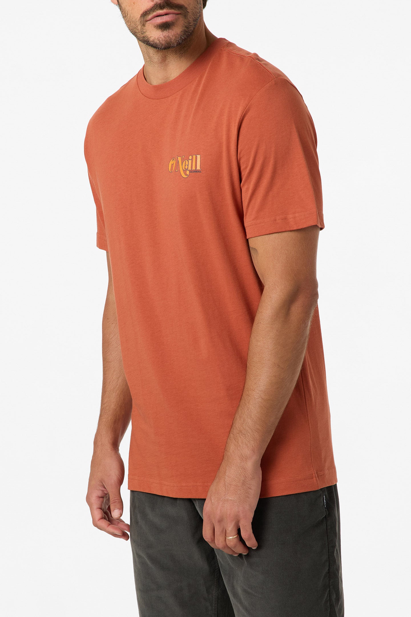 Shop Classic Tee Standard Fit Tee - Chutney | O'Neill