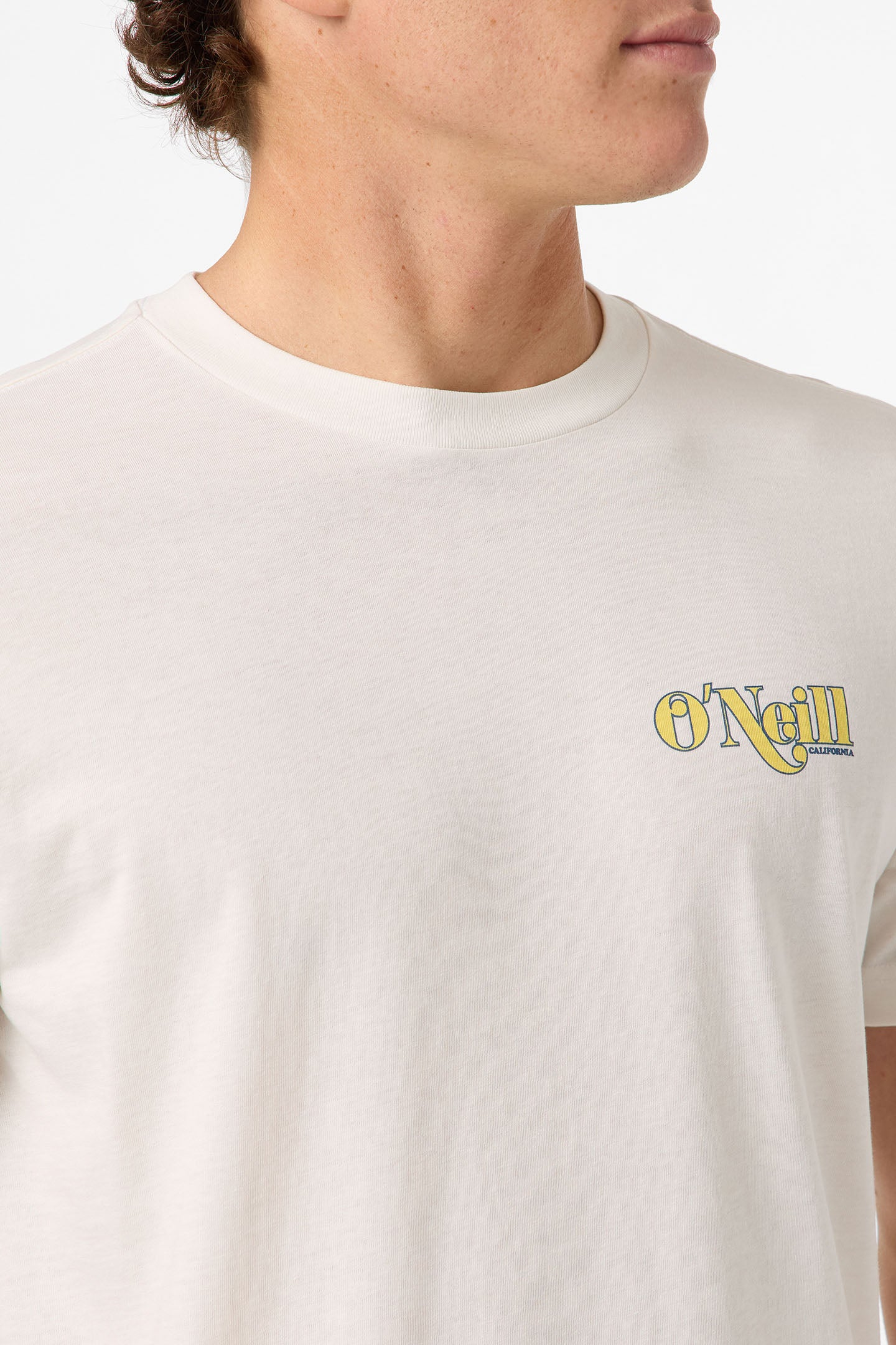 Shop Classic Tee Standard Fit Tee - Tofu | O'Neill