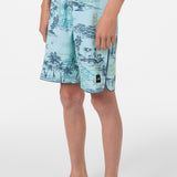 Boy's Hyperfreak Mysto Scallop 17" Boardshorts