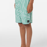 Boy's Hyperfreak Mysto Scallop 17" Boardshorts