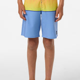 Boy's Hyperfreak Heat Block 17" Boardshorts