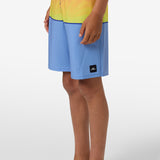 Boy's Hyperfreak Heat Block 17" Boardshorts