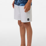 Boy's Hyperfreak Heat Block 17" Boardshorts