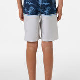 Boy's Hyperfreak Heat Block 17" Boardshorts