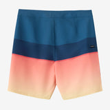 Boy's Hyperfreak Heat Block 17" Boardshorts
