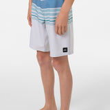 Boy's Hyperfreak Heat Stripe 17" Boardshorts