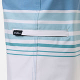 Boy's Hyperfreak Heat Stripe 17" Boardshorts