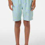 Boy's Hermosa Elastic Waist Lined 16" Swim Trunks