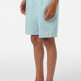 Boy's Hermosa Elastic Waist Lined 16" Swim Trunks