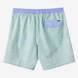 Boy's Hermosa Elastic Waist Lined 16" Swim Trunks