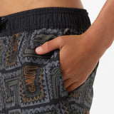 Boy's Hermosa Elastic Waist Lined 16" Swim Trunks