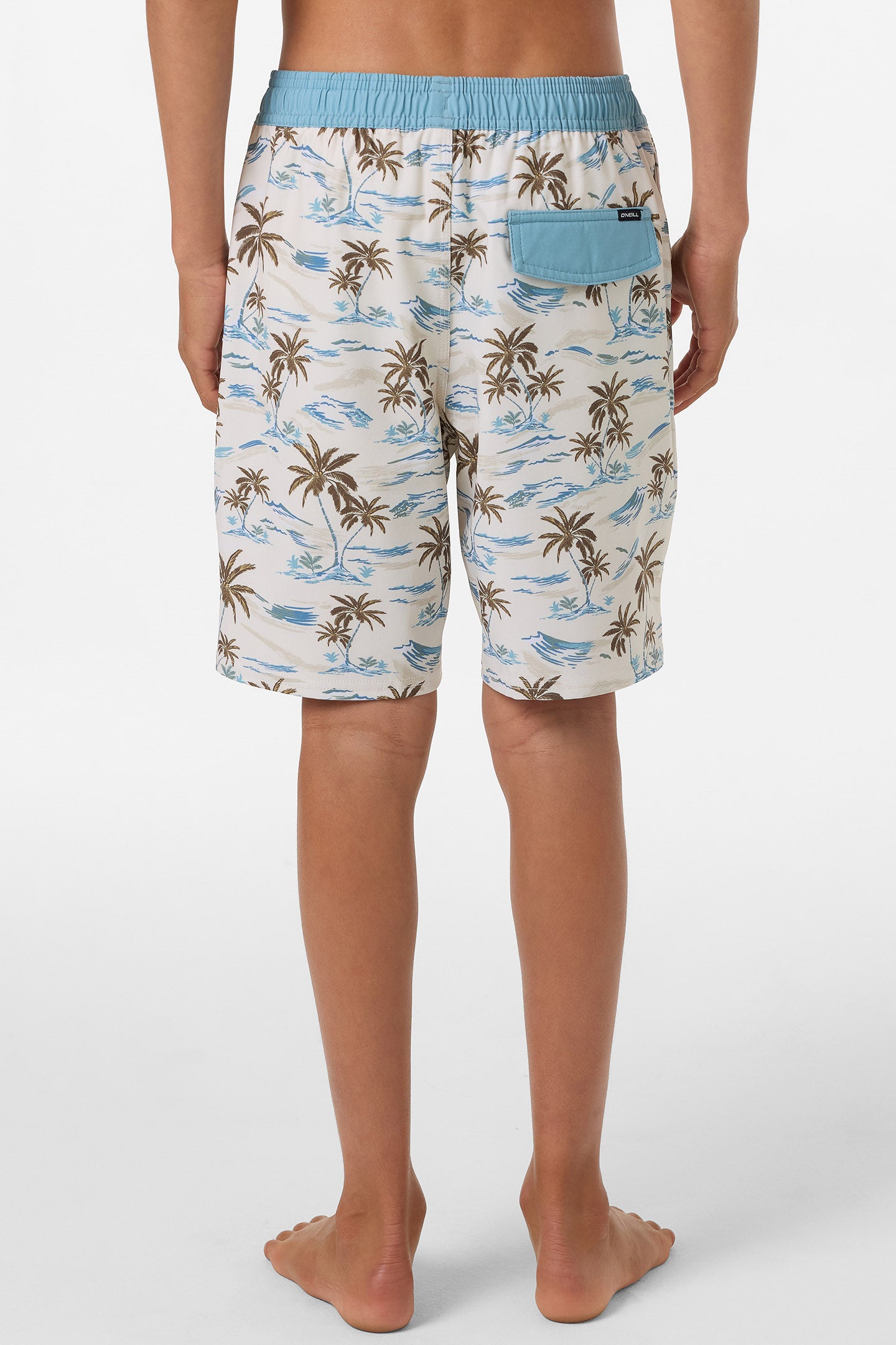 Boy's Hermosa Elastic Waist Lined 16